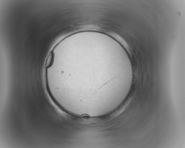 X0000111491391200908041133