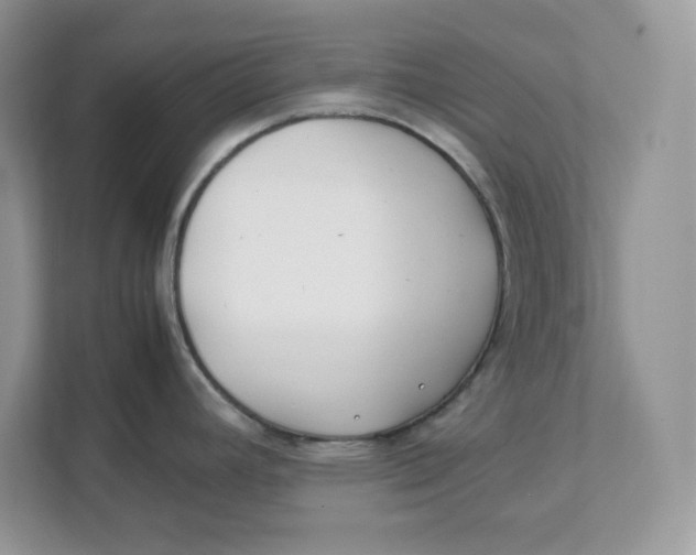 X0000111491392200908041133