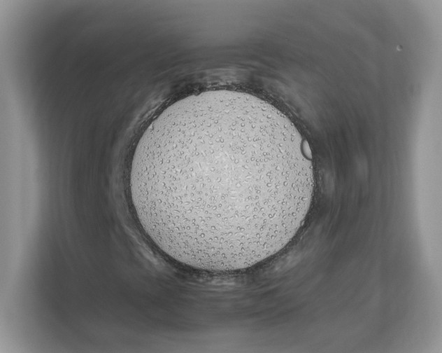 X0000111491393200908041133