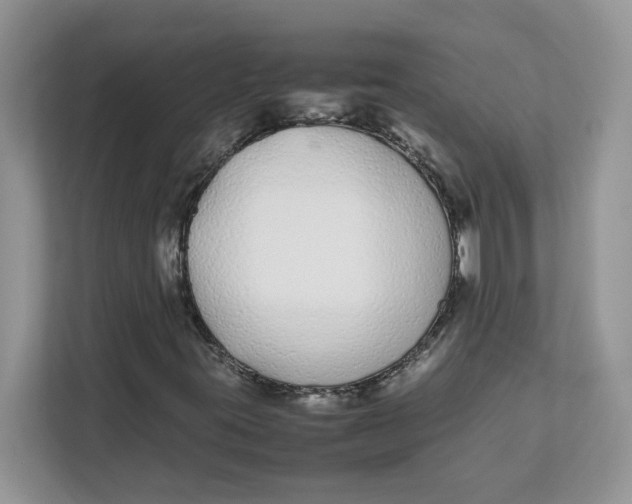 X0000111491395200908041133