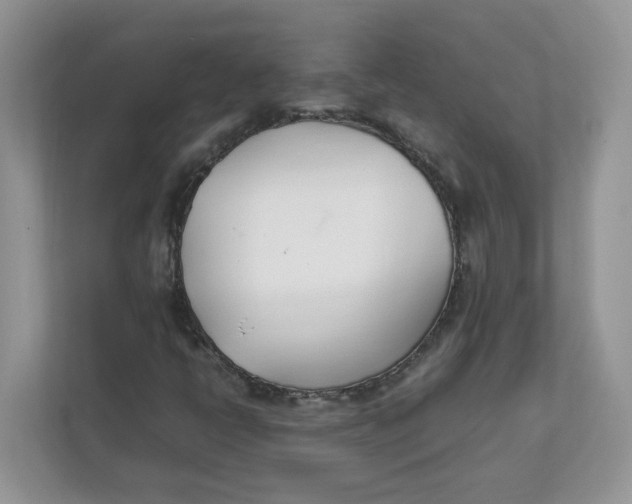 X0000111491398200908041133