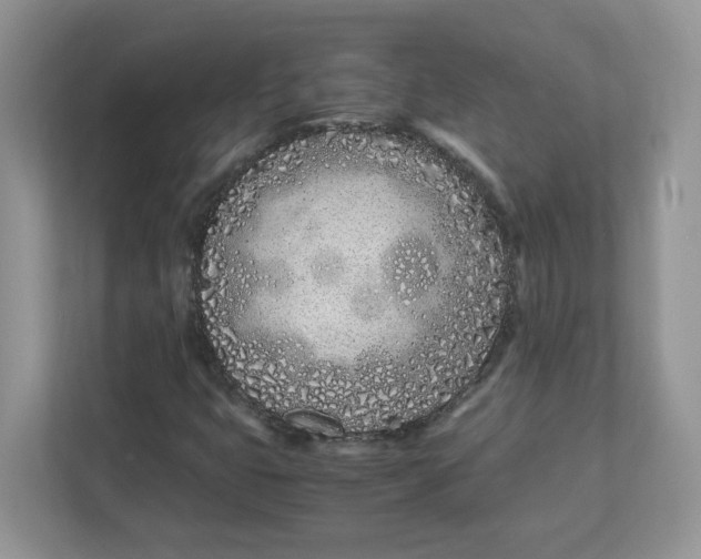 X0000111491399200908041133