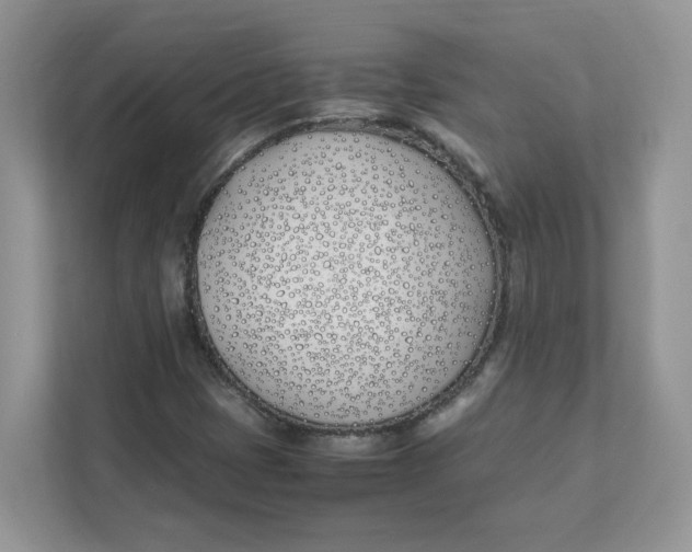 X0000111491401200908041133