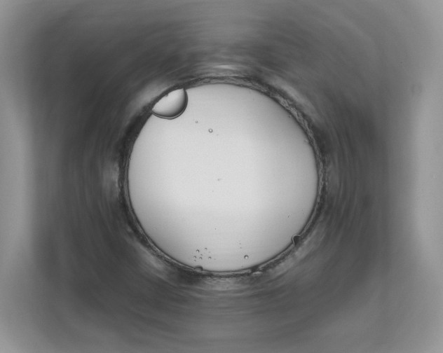 X0000111491402200908041133