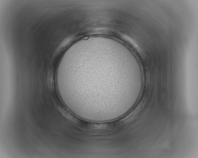 X0000111491403200908041133