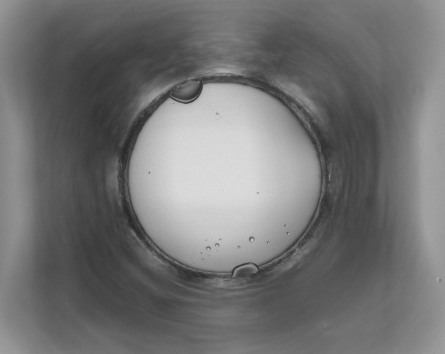 X0000111491404200908041133