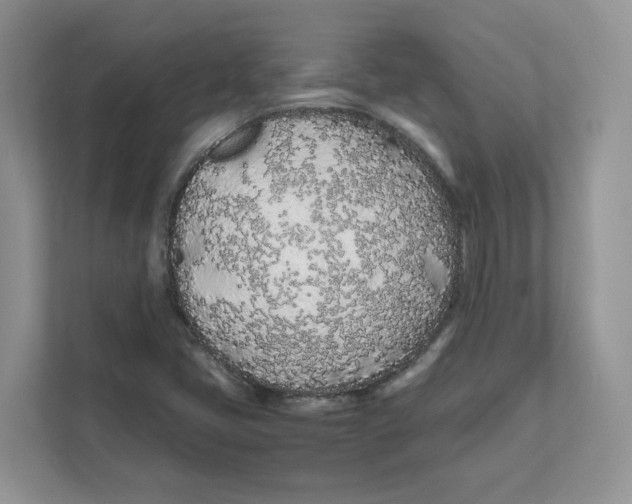 X0000111491405200908041133