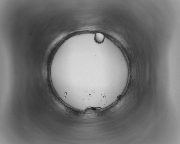 X0000111491406200908041133