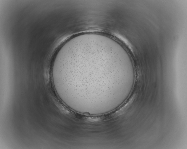 X0000111491407200908041133