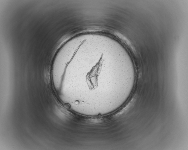 X0000111491409200908041133