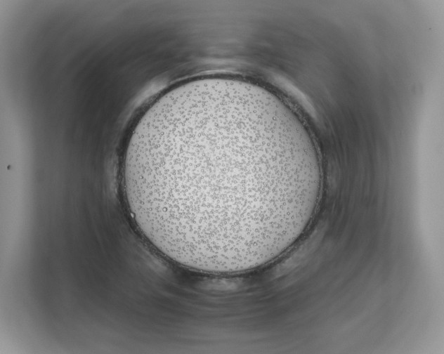 X0000111491411200908041133