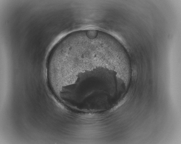 X0000111491414200908041133