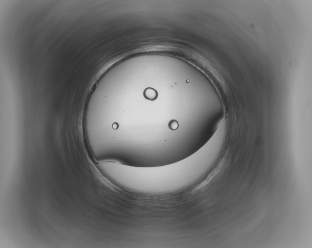 X0000111491417200908041133