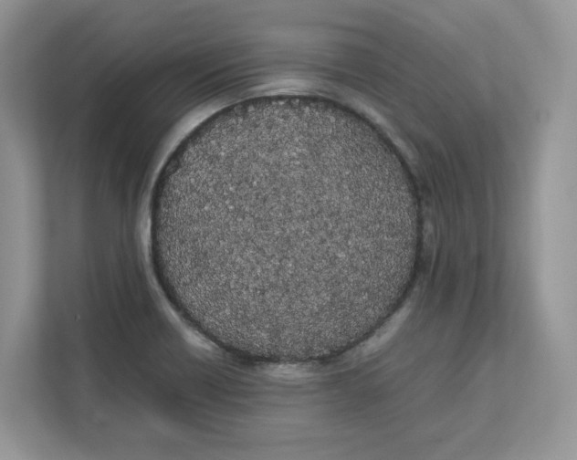 X0000111491418200908041133