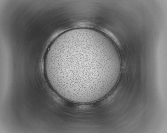 X0000111491419200908041133