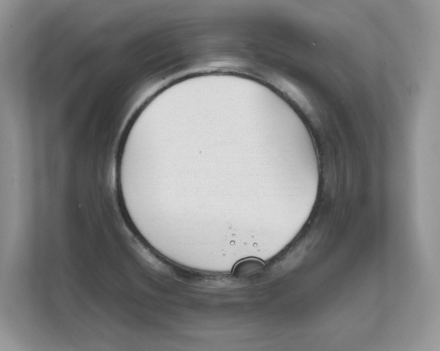 X0000111491420200908041133