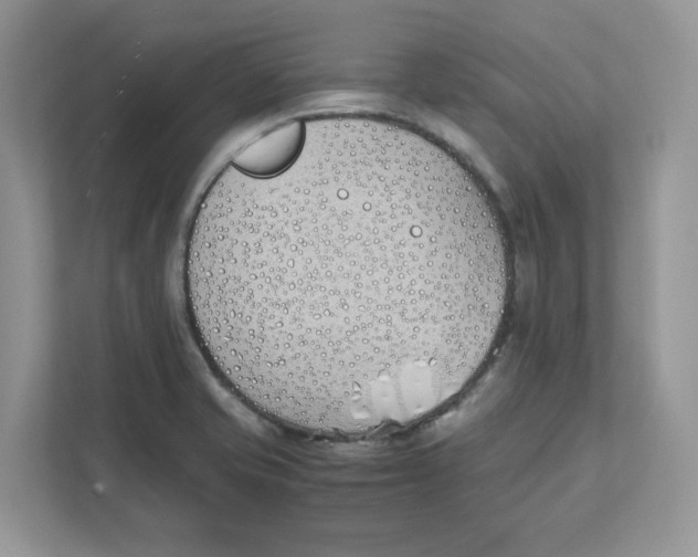 X0000111491421200908041133