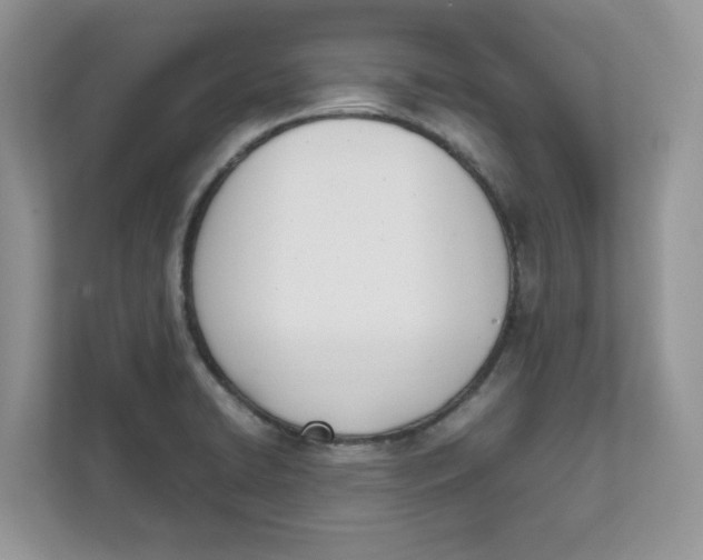 X0000111491422200908041133