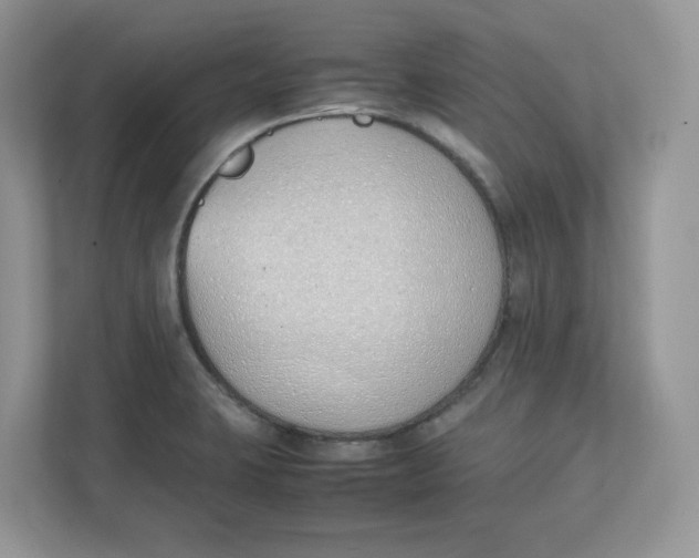 X0000111491423200908041133