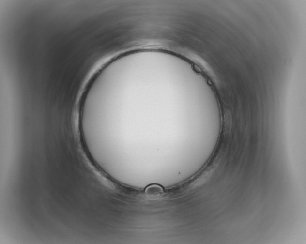 X0000111491424200908041133