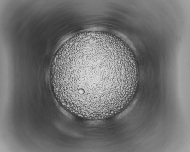 X0000111491425200908041133