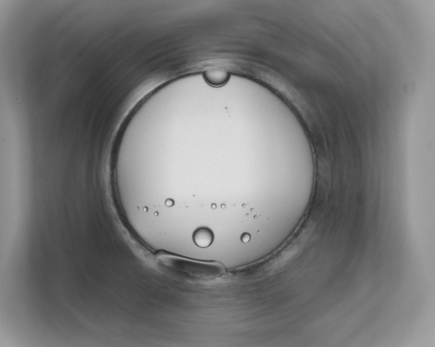 X0000111491426200908041133