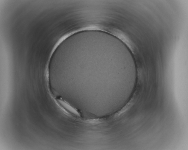 X0000111491428200908041133