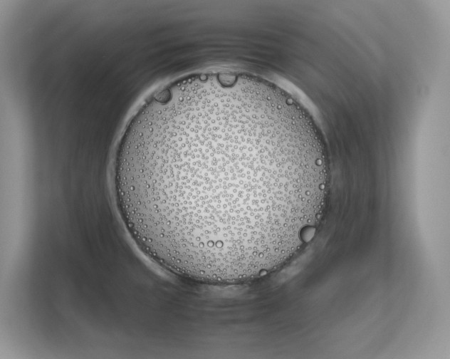 X0000111491429200908041133