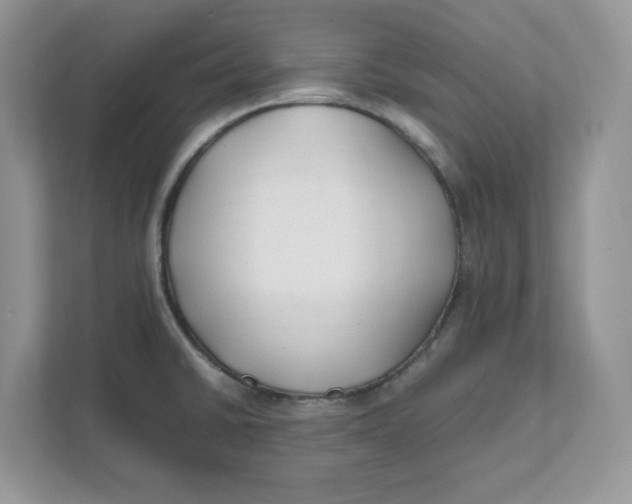 X0000111491430200908041133