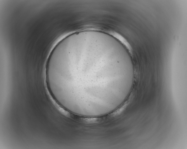 X0000111491431200908041133