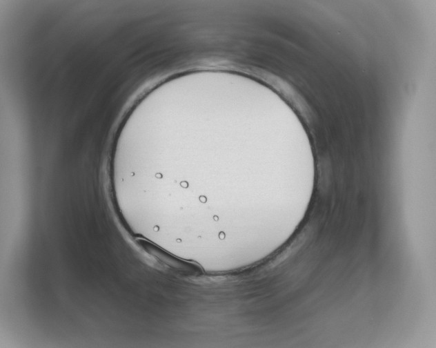 X0000111491432200908041133