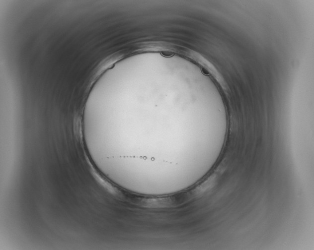 X0000111491433200908041133