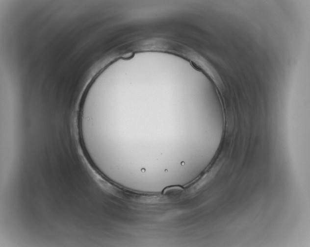 X0000111491434200908041133