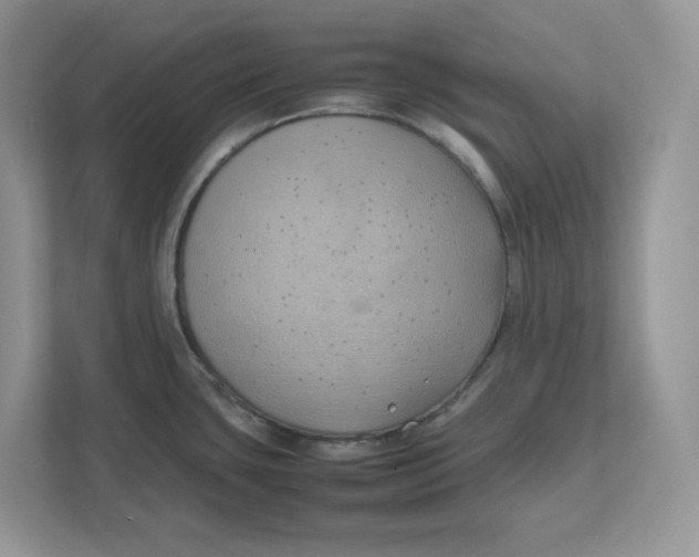 X0000111491435200908041133