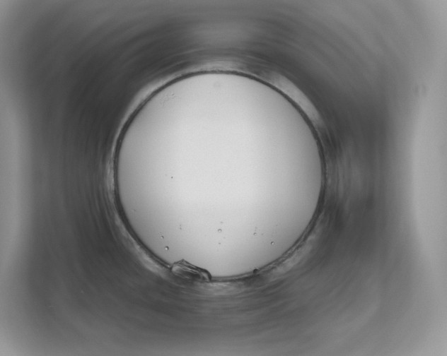 X0000111491436200908041133