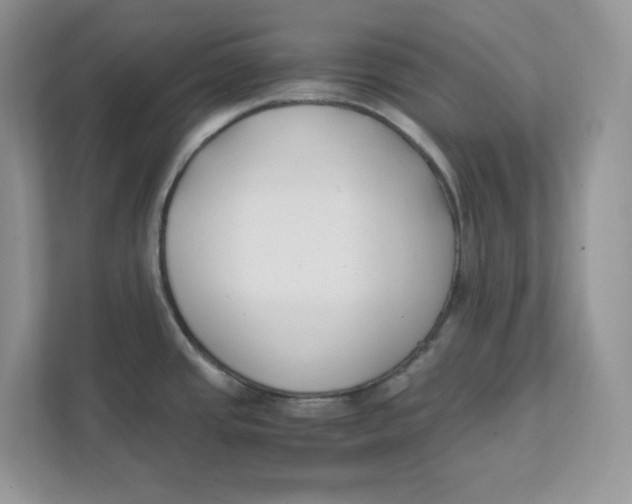 X0000111491437200908041133