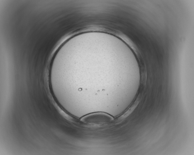 X0000111491438200908041133