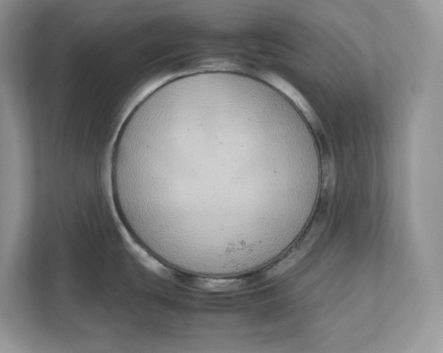 X0000111491439200908041133