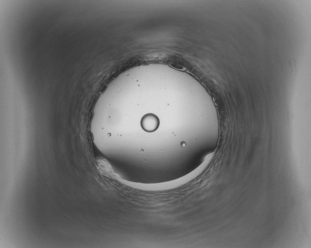 X0000111491441200908041133