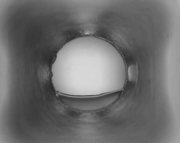 X0000111491443200908041133