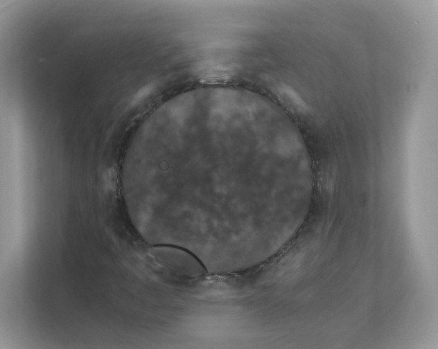 X0000111491445200908041133