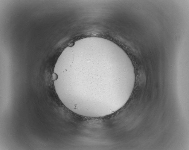 X0000111491446200908041132