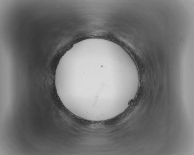 X0000111491447200908041132