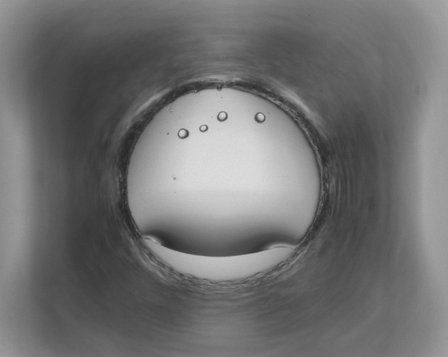 X0000111491448200908041132