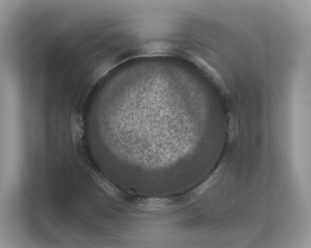 X0000111491449200908041132