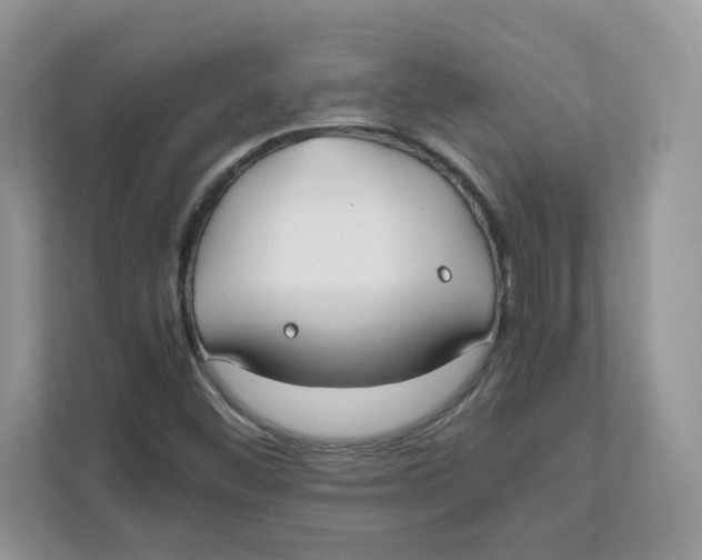 X0000111491452200908041132