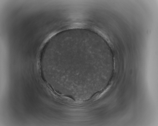 X0000111491453200908041132