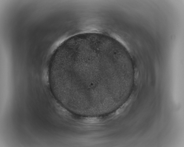 X0000111491455200908041132