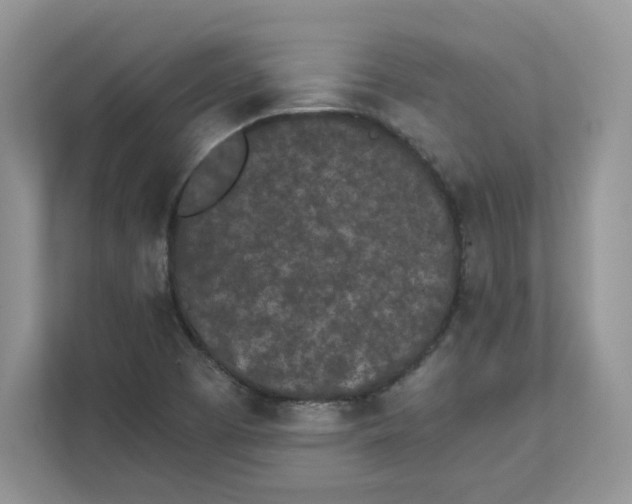 X0000111491457200908041132