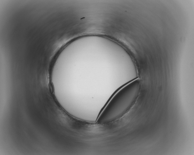 X0000111491461200908041132